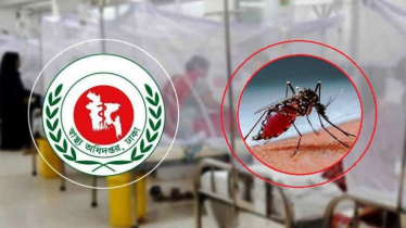 ২৪ ঘণ্টায় ডেঙ্গুতে ৩ মৃত্যু, আক্রান্ত ৩১৯