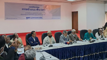 সংস্কার রক্ষায় গণভোট: ইসিকে মাঠে নামার আহ্বান