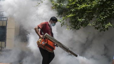 মশা নিয়ন্ত্রণে রাজধানীতে ডিএনসিসির ‘থ্রি-স্টেপ’ অ্যাকশন মশা নিয়ন্ত্রণে রাজধানীতে ডিএনসিসির ‘থ্রি-স্টেপ’ অ্যাকশন