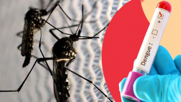 ডেঙ্গুতে একদিনে সর্বোচ্চ মৃত্যু ৫, হাসপাতালে ১৫৯