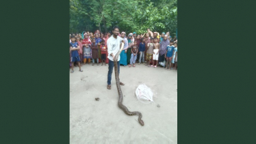 কু‌ড়িগ্রামে ১০ ফুট দৈ‌র্ঘ্যের অজগর সাপ উদ্ধার