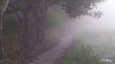 পঞ্চগড়ে বেড়েছে শীতের তীব্রতা