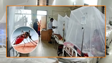 ২৪ ঘণ্টায় ডেঙ্গু আক্রান্ত আরও ১০৮