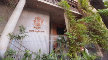 সহিংসতার ক্ষত কাটিয়ে ছায়ানটে ফিরছে প্রাণের স্পন্দন