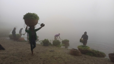 ২৪ জেলায় শৈত্যপ্রবাহ, সর্বনিম্ন তাপমাত্রা ৭ ডিগ্রি