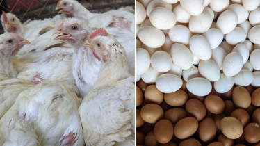 ৪০ দেশ থেকে মুরগি ও ডিম আমদানিতে সৌদির নিষেধাজ্ঞা