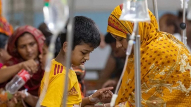 ডেঙ্গুতে ২৪ ঘণ্টায় ২ মৃত্যু, হাসপাতালে ভর্তি ৩৯৩