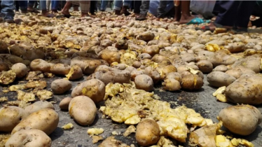 ১ কাপ চায়ের দামে ১ কেজি আলু