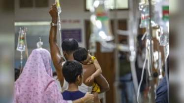 মৃত্যুহীন ২৪ ঘণ্টায় ডেঙ্গুতে আক্রান্ত ৫০৬ মৃত্যুহীন ২৪ ঘণ্টায় ডেঙ্গুতে আক্রান্ত ৫০৬