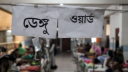 ডেঙ্গুতে আরও একজনের মৃত্যু, আক্রান্ত ১৩৯