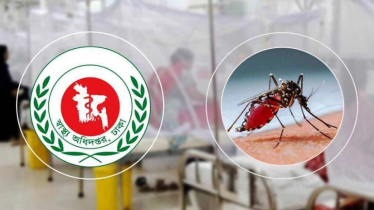 ডেঙ্গুতে নতুন আক্রান্ত ১৯৫, মৃত্যু শূন্য ডেঙ্গুতে নতুন আক্রান্ত ১৯৫, মৃত্যু শূন্য