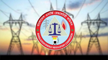 বিদ্যুতের পাইকারি দাম পুনর্নির্ধারণের পথে বিইআরসি