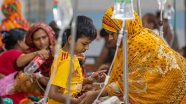 ডেঙ্গুতে ঝরল আরও ৩ প্রাণ, নতুন আক্রান্ত ৫৩৪