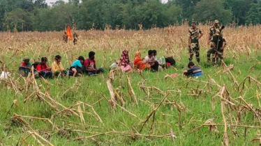 সীমান্তজুড়ে পুশইন উত্তেজনা, বিজিবির প্রতিরোধে একাধিক চেষ্টা ব্যর্থ সীমান্তজুড়ে পুশইন উত্তেজনা, বিজিবির প্রতিরোধে একাধিক চেষ্টা ব্যর্থ