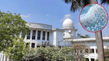দেশের ২৬টি টুথপেস্টে মাইক্রোপ্লাস্টিক, হাইকোর্টে রিট দেশের ২৬টি টুথপেস্টে মাইক্রোপ্লাস্টিক, হাইকোর্টে রিট