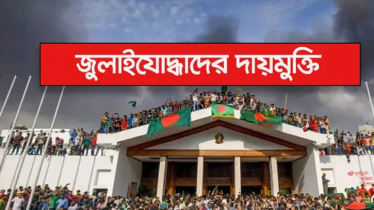 জুলাইযোদ্ধাদের দায়মুক্তি ও আইনি সুরক্ষা দিয়ে অধ্যাদেশ জারি