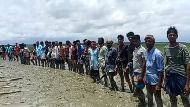 নোয়াখালীতে চাঁদা না পেয়ে ভূমিহীনদের চাষাবাদ বন্ধ করে দিয়েছে সন্ত্রাসীরা নোয়াখালীতে চাঁদা না পেয়ে ভূমিহীনদের চাষাবাদ বন্ধ করে দিয়েছে সন্ত্রাসীরা