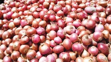 আমদানির খবরে কমলো পেঁয়াজের দাম