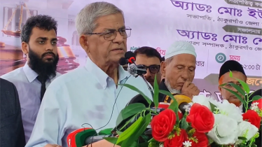 দীর্ঘ লড়াইয়ের পর গণতন্ত্রের নতুন সম্ভাবনা সৃষ্টি হয়েছে: মির্জা ফখরুল