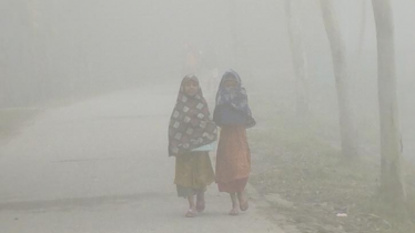 দেশজুড়ে শীতের দাপট, জানুয়ারিতে একাধিক শৈত্যপ্রবাহের আশঙ্কা