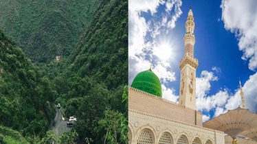 মদিনায় ২১ লাখের বেশি গাছ রোপণ করল সৌদি আরব