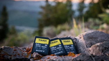 চিপ সংকটে মেমোরি কার্ডের অর্ডার বন্ধ করল সনি চিপ সংকটে মেমোরি কার্ডের অর্ডার বন্ধ করল সনি