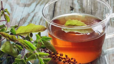 শীতের শুরুতেই বাড়ছে সর্দি-কাশি, তুলসিই হতে পারে ঘরোয়া সমাধান