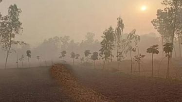 তেঁতুলিয়ায় টানা চার দিন সর্বনিম্ন তাপমাত্রা ১০ ডিগ্রি তেঁতুলিয়ায় টানা চার দিন সর্বনিম্ন তাপমাত্রা ১০ ডিগ্রি