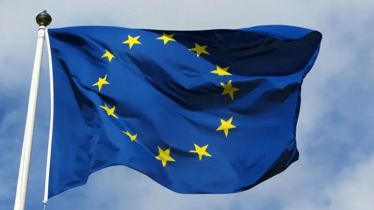 ১৭ জানুয়ারি থেকে ভোট পর্যবেক্ষণে মাঠে থাকছে ইইউ প্রতিনিধি দল