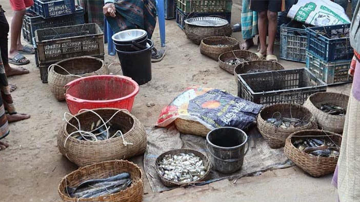 হাওর ও নদীর মাছ বাজারে উঠতেই উধাও 