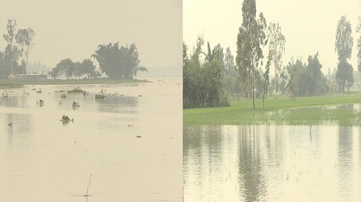 বিপৎসীমায় তিস্তার পানি, লালমনিরহাটে বন্যার আশঙ্কা