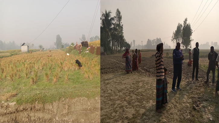 সুন্দরগঞ্জে কৃষকের ৫৫ শতক জমির ধান কেটে নিল প্রতিপক্ষ