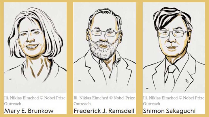 চিকিৎসায় নোবেল পেলেন যুক্তরাষ্ট্র ও জাপানের তিন গবেষক