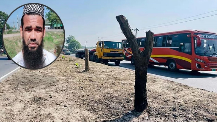 ‘আবর্জনার মতো লাগে’ বলে অর্ধশত বকুলগাছ কাটা আজমির গ্রেপ্তার