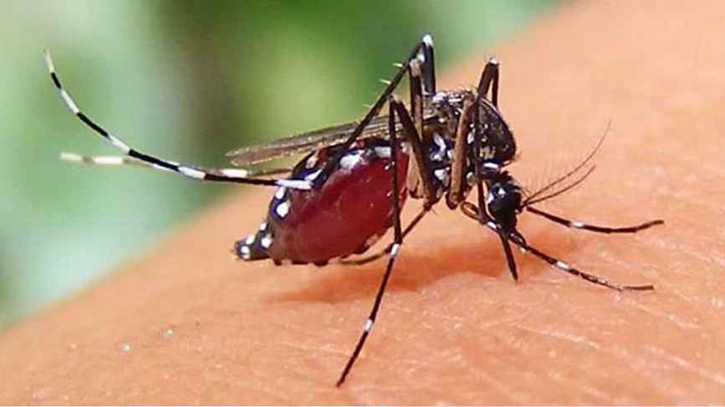 ডেঙ্গুতে আক্রান্ত হয়ে হাসপাতালে ভর্তি আরও ২৬ জন ডেঙ্গুতে আক্রান্ত হয়ে হাসপাতালে ভর্তি আরও ২৬ জন