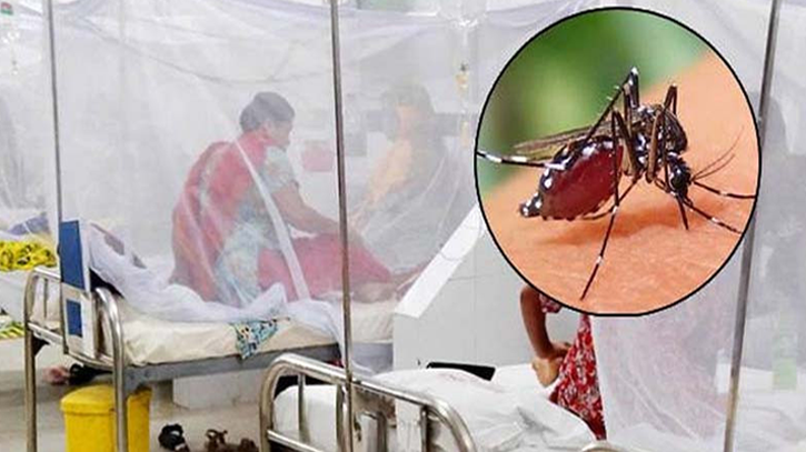 গত ২৪ ঘণ্টায় ডেঙ্গুতে ২ জনের মৃত্যু, ৩৯৬ জন ভর্তি গত ২৪ ঘণ্টায় ডেঙ্গুতে ২ জনের মৃত্যু, ৩৯৬ জন ভর্তি