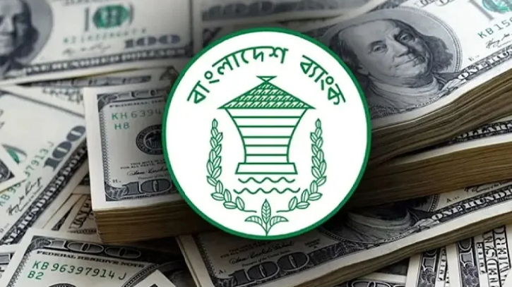 নভেম্বরের ২৯ দিনে এলো ২৬৮ কোটি ডলার রেমিট্যান্স