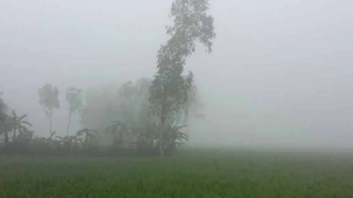 উত্তরাঞ্চলে শীতের তীব্রতা বেড়েছে, পঞ্চগড়ে তাপমাত্রা ১৪ ডিগ্রি