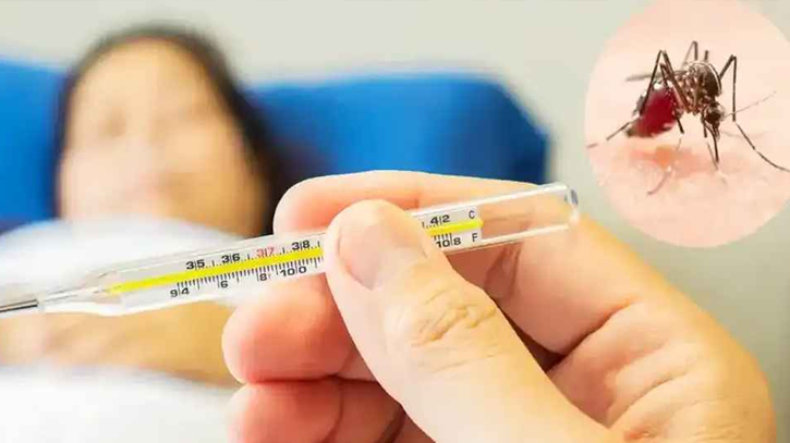 একদিনে ডেঙ্গুতে নতুন আক্রান্ত ৪৮৮