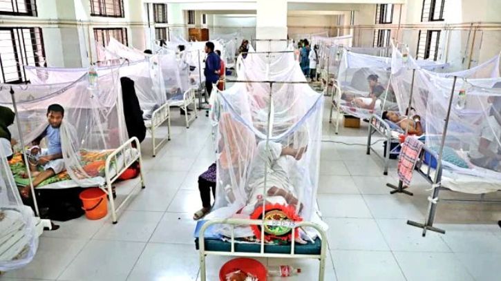Dengue hospitalisations hit record 870 in 24 hours