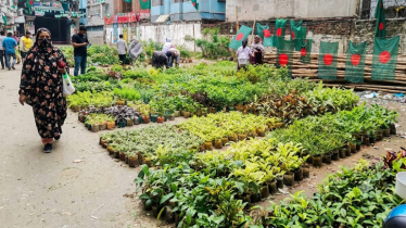 Tree fair in Dhaka`s Sabujbag offers 70 plant varieties for Tk 40 Tree fair in Dhaka`s Sabujbag offers 70 plant varieties for Tk 40