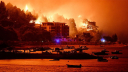 Wildfires ravage Europe as France arrests nearly 500 over suspect