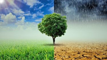 The unseen costs of Climate Disasters