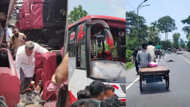 5 Killed in bus-motorcycle collision in Gopalganj