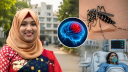 Japanese encephalitis virus attacks Chittagong, 1 dead