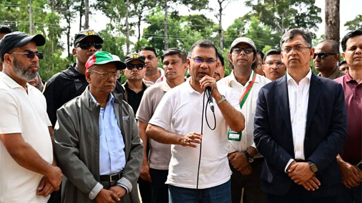Plant a tree for your children`s future, urges PM Plant a tree for your children`s future, urges PM