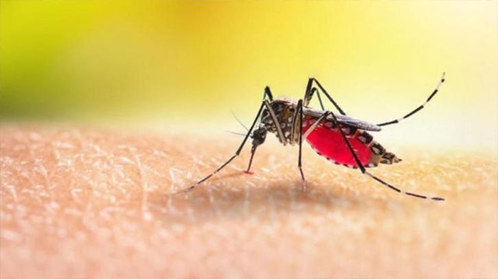 Two die, 157 hospitalised as dengue cases continue to rise