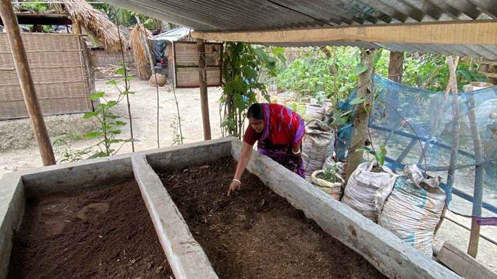 Pirojpur woman finds success producing organic fertiliser at home