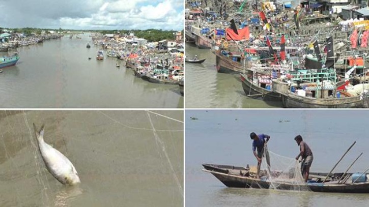 মধ্যরাত থেকে শুরু হচ্ছে জাটকা শিকারে নিষেধাজ্ঞা মধ্যরাত থেকে শুরু হচ্ছে জাটকা শিকারে নিষেধাজ্ঞা