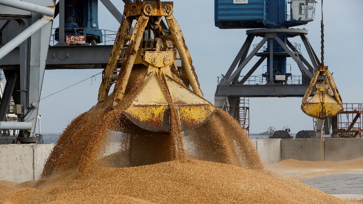 ‘চুরি করা গম’ আমদানির অভিযোগে নিষেধাজ্ঞার মুখে বাংলাদেশ